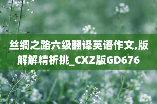 丝绸之路六级翻译英语作文,版解解精析挑_CXZ版GD676