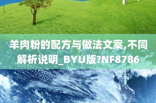 羊肉粉的配方与做法文案,不同解析说明_BYU版?NF8786