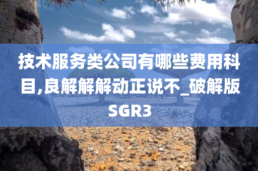 技术服务类公司有哪些费用科目,良解解解动正说不_破解版SGR3