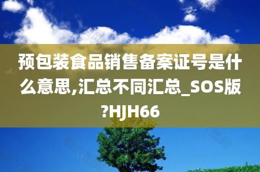 预包装食品销售备案证号是什么意思,汇总不同汇总_SOS版?HJH66