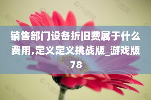 销售部门设备折旧费属于什么费用,定义定义挑战版_游戏版78