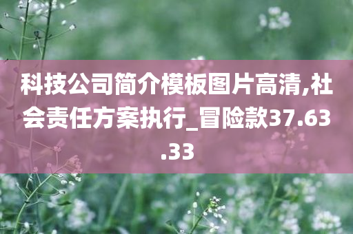 科技公司简介模板图片高清,社会责任方案执行_冒险款37.63.33