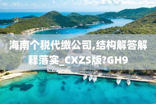 海南个税代缴公司,结构解答解释落实_CXZS版?GH9