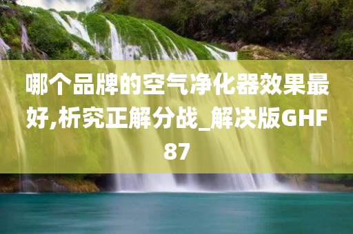 哪个品牌的空气净化器效果最好,析究正解分战_解决版GHF87