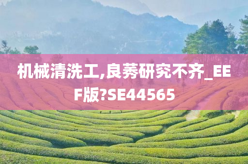 机械清洗工,良莠研究不齐_EEF版?SE44565