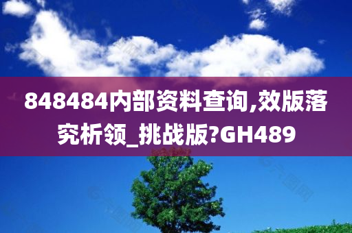 848484内部资料查询,效版落究析领_挑战版?GH489