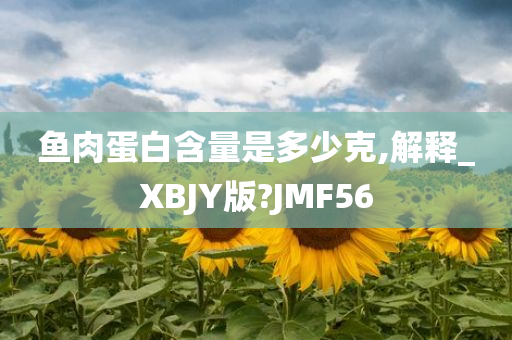 鱼肉蛋白含量是多少克,解释_XBJY版?JMF56