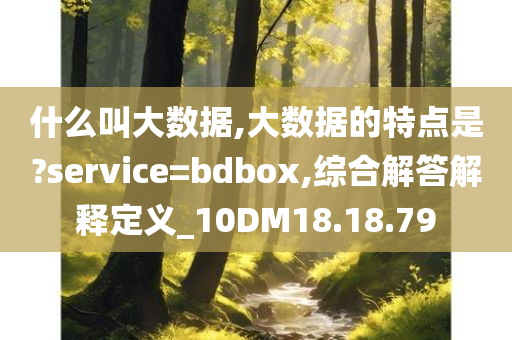 什么叫大数据,大数据的特点是?service=bdbox,综合解答解释定义_10DM18.18.79