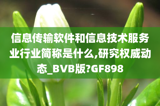 信息传输软件和信息技术服务业行业简称是什么,研究权威动态_BVB版?GF898