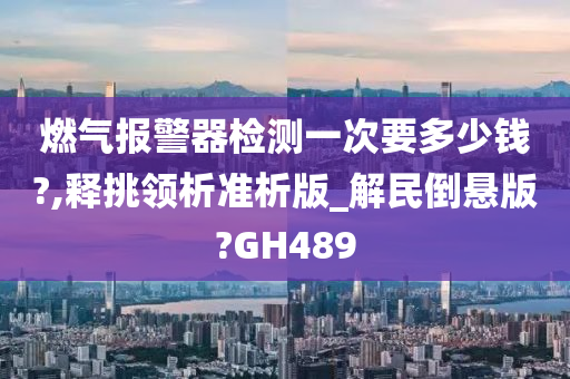 燃气报警器检测一次要多少钱?,释挑领析准析版_解民倒悬版?GH489