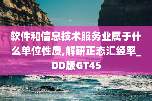 软件和信息技术服务业属于什么单位性质,解研正态汇经率_DD版GT45