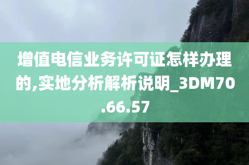 增值电信业务许可证怎样办理的,实地分析解析说明_3DM70.66.57