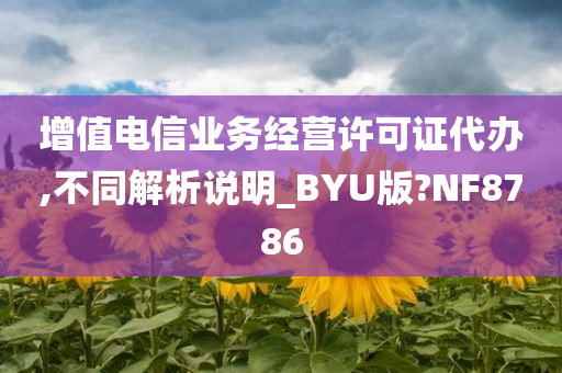 增值电信业务经营许可证代办,不同解析说明_BYU版?NF8786