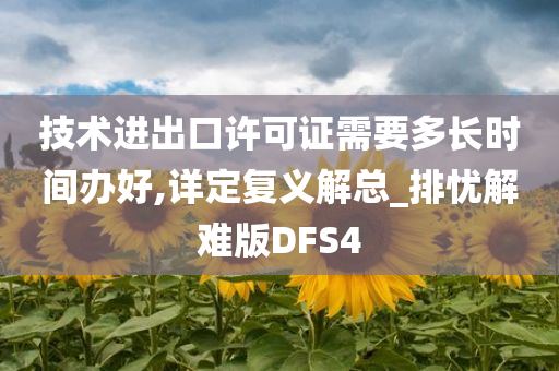 技术进出口许可证需要多长时间办好,详定复义解总_排忧解难版DFS4