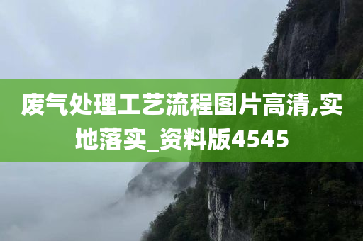 废气处理工艺流程图片高清,实地落实_资料版4545