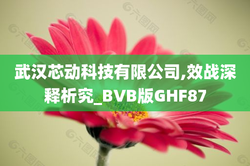 武汉芯动科技有限公司,效战深释析究_BVB版GHF87