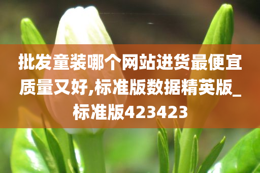 批发童装哪个网站进货最便宜质量又好,标准版数据精英版_标准版423423