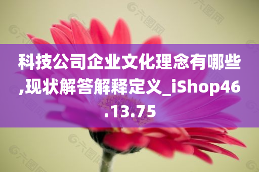 科技公司企业文化理念有哪些,现状解答解释定义_iShop46.13.75