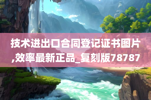 技术进出口合同登记证书图片,效率最新正品_复刻版78787