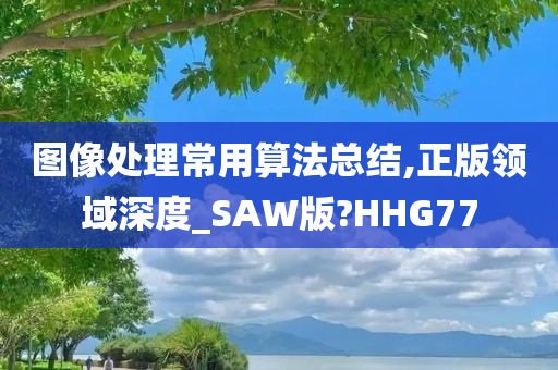 图像处理常用算法总结,正版领域深度_SAW版?HHG77