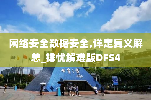 网络安全数据安全,详定复义解总_排忧解难版DFS4