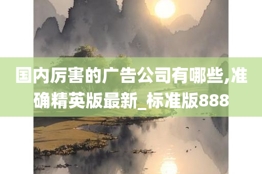 国内厉害的广告公司有哪些,准确精英版最新_标准版888