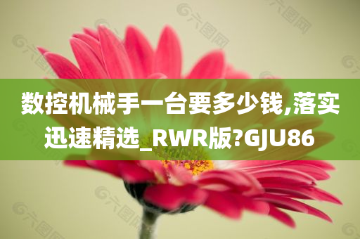 数控机械手一台要多少钱,落实迅速精选_RWR版?GJU86