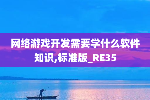 网络游戏开发需要学什么软件知识,标准版_RE35