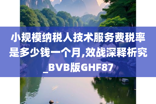 小规模纳税人技术服务费税率是多少钱一个月,效战深释析究_BVB版GHF87