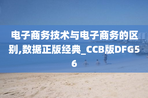 电子商务技术与电子商务的区别,数据正版经典_CCB版DFG56