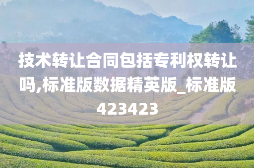 技术转让合同包括专利权转让吗,标准版数据精英版_标准版423423