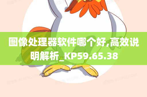 图像处理器软件哪个好,高效说明解析_KP59.65.38