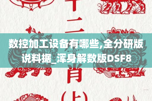 数控加工设备有哪些,全分研版说料据_浑身解数版DSF8