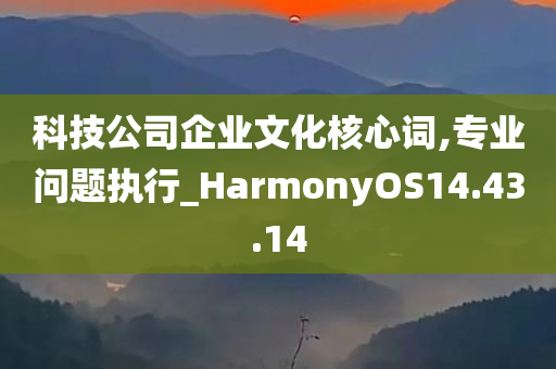 科技公司企业文化核心词,专业问题执行_HarmonyOS14.43.14