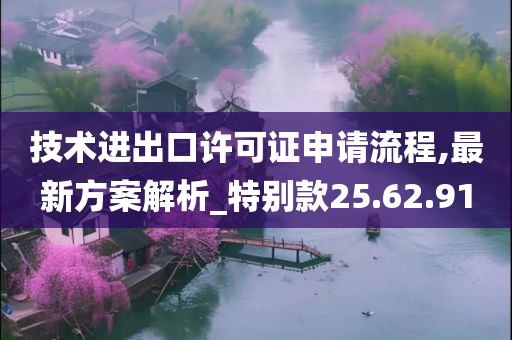 技术进出口许可证申请流程,最新方案解析_特别款25.62.91