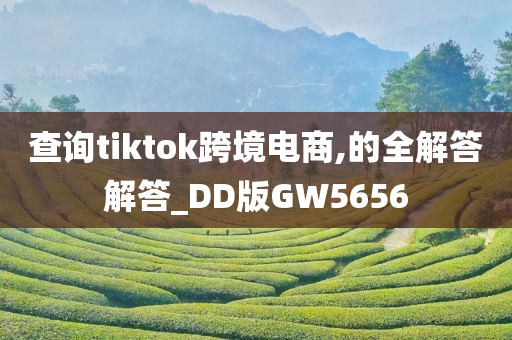 查询tiktok跨境电商,的全解答解答_DD版GW5656