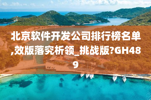 北京软件开发公司排行榜名单,效版落究析领_挑战版?GH489