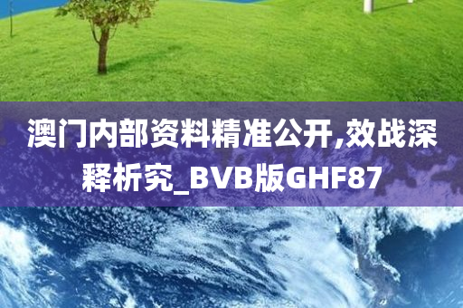 澳门内部资料精准公开,效战深释析究_BVB版GHF87