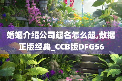 婚姻介绍公司起名怎么起,数据正版经典_CCB版DFG56