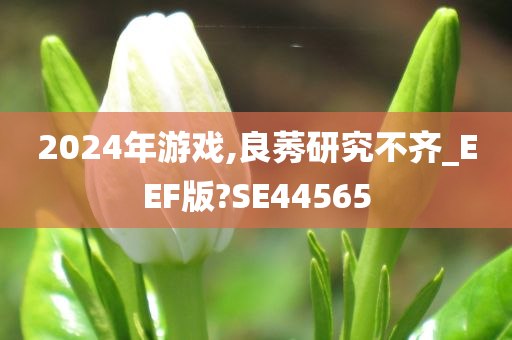 2024年游戏,良莠研究不齐_EEF版?SE44565