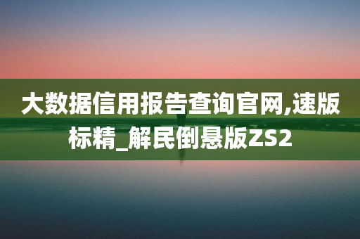 大数据信用报告查询官网,速版标精_解民倒悬版ZS2