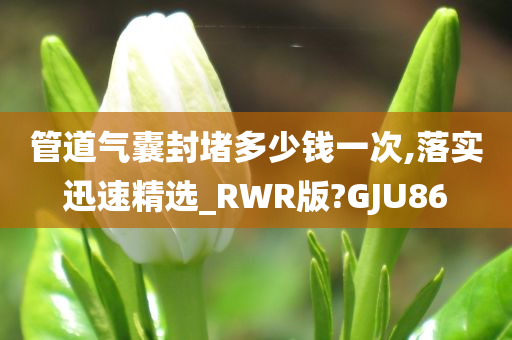 管道气囊封堵多少钱一次,落实迅速精选_RWR版?GJU86