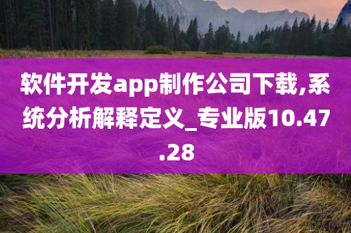 软件开发app制作公司下载,系统分析解释定义_专业版10.47.28