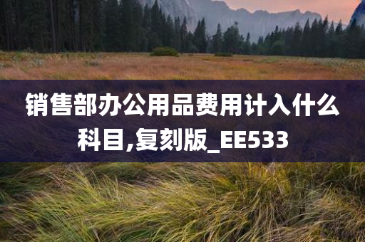 销售部办公用品费用计入什么科目,复刻版_EE533