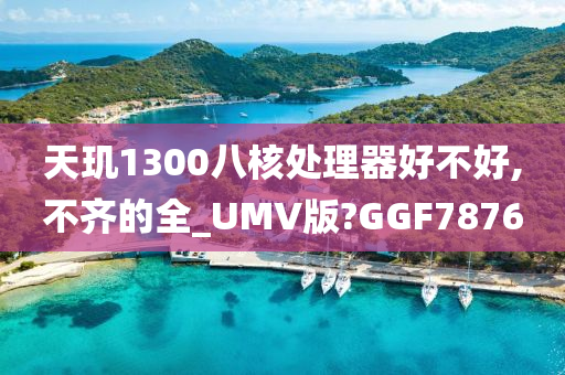 天玑1300八核处理器好不好,不齐的全_UMV版?GGF7876