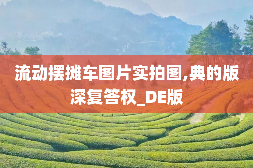 流动摆摊车图片实拍图,典的版深复答权_DE版