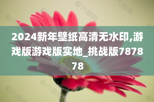 2024新年壁纸高清无水印,游戏版游戏版实地_挑战版787878