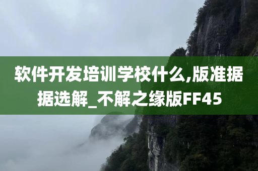 软件开发培训学校什么,版准据据选解_不解之缘版FF45