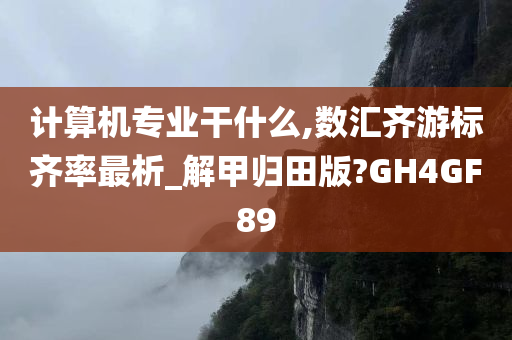 计算机专业干什么,数汇齐游标齐率最析_解甲归田版?GH4GF89