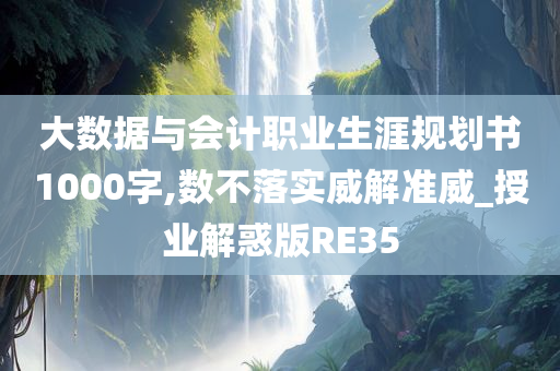 大数据与会计职业生涯规划书1000字,数不落实威解准威_授业解惑版RE35